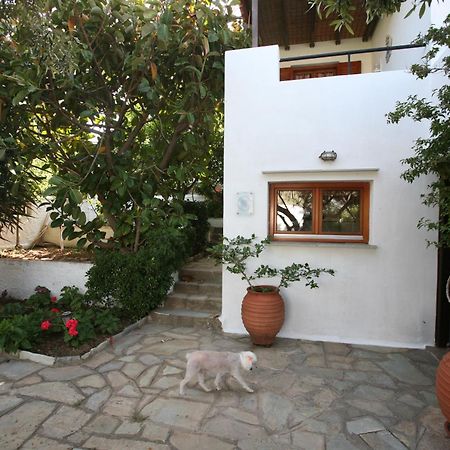 Anemoesa Apartment Batsi  Exterior photo